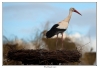 Filename=DBA_1097-Modifier.jpg
Filesize=108KB
Dimensions=955x654
Date added=Mar 31, 2009 DBA_1097-Modifier.jpg